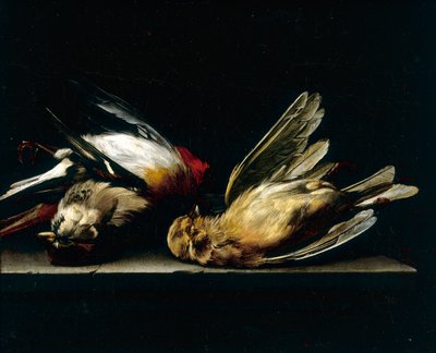 Dead little birds by Willem van Aelst